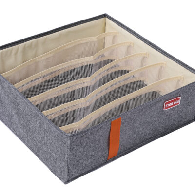Organizador Plegable para Ropa Interior 6 Division